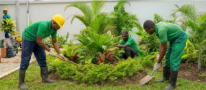 entretien espaces verts wint